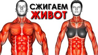 Упражнения Стоя для Сжигания Жира на Животе