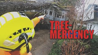 Tree-MERGENCY 100 ft. Elm DEVASTATES Home.