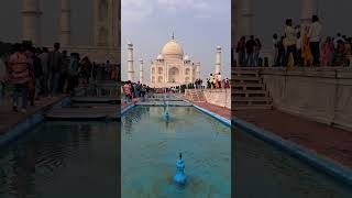 #tajmahal in slow motion 🌹🌹🌹🌹🌹