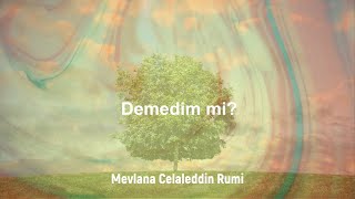 Mevlana Celaleddin Rumi - Demedim mi?