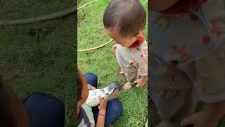 Saking cintanya sama burung dara kesayangan #bayiviral #bayilucu #bayigemes #toddleractivities #baby