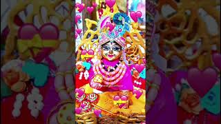 Mero Laddu gopal।Laddu gopal।Krishna #shorts #ytshorts  #krishna