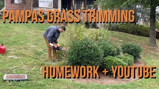 Pampas Grass Trimming | Homework with Spencer Lawncare