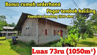 Jual kandang ayam bonus rumah sederhana pagar tembok keliling dekat jalan provinsi