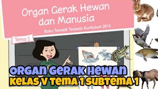 Alat Gerak Hewan | Materi Kelas 5 | Tema 1 Subtema 1 | Kurikulum 2013