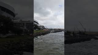 Choppy water in San Francisco Bay February 4th 2024 #sanfrancisco