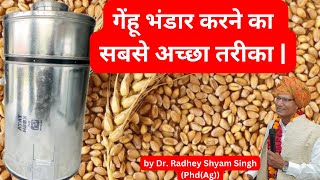 इस तरह स्टोर करेंगे तो कभी नहीं खराब होगा अनाज।How to Store Wheat Grains at Home |