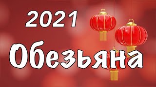 Точный Подробный Гороскоп для Обезьяны на 2021 год Белого Металлического Быка.