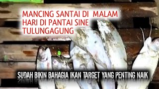 MANCING DI PANTAI SINE TULUNGAGUNG MENCARI IKAN TARGET LANDED JUGA 😁👍