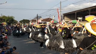 PART#02 Karnaval Pelem Campurdarat Tulungagung Jawa timur || karnaval lucu dan gokil