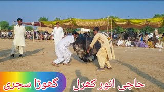 horse dance dhamal 2023 | ghoda sajree mela peer shah anwar kharal