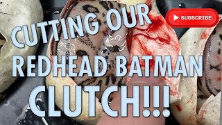 CUTTING OUR REDHEAD BATMAN CLUTCH!!!