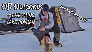 CRAZY Lake Poygan Ice Fishing - Episode: 2.1 "Schooling Lake Poygan"