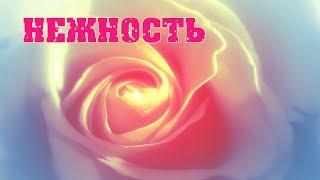 НЕЖНОСТЬ ~ Игорь ЯЩЕНКО стихи Ирины САВЕЛЬЕВОЙ