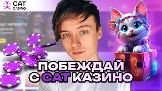 ПОБЕЖДАЙ С ОНЛАЙН CASINO CAT | ПРОМОКОДЫ И ФРИСПИНЫ CAT КАЗИНО | КЭТ CASINO БОНУСЫ