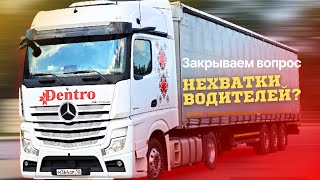 ОТ ПЕРВОГО ЛИЦА #dentro #дентро Интервью генерального директора ТК Dentro Илькаева И.В.