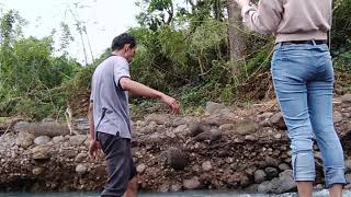 Landacaping the river