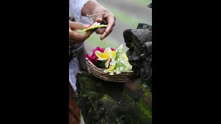 Dina sells Balinese offerings #shorts