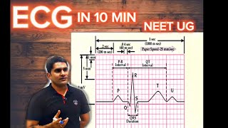 ECG I Short Video I NEET UG Biology I Electrocardiogram