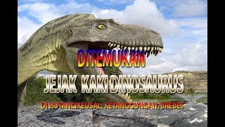 "JEJAK DINOSAURUS" TAPAK BINATANG PURBA DI CIKEUSAL, KETANGGUNGAN, BREBES,JATENG