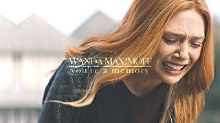 Wanda Maximoff  | You're a Memory (1x08)