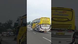 Klakson Telolet Basuri Nada Mengular Pakistan Ala Bus Baby Boss//Asyrof #basuri #busmania