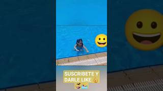 Un día de piscina con amig@s #summer #piscinas #diversion #viral  #2023 #suscribete