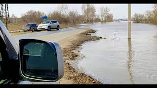 разлив на реке томь