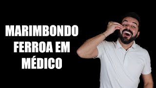 Marimbondo destrói cara de Médico