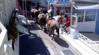 Santorini caldera view