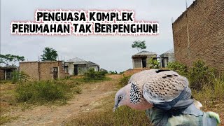 PENGUASA KOMPLEK PERUMAHAN TAK BERPENGHUNI || SUARANYA BESAR