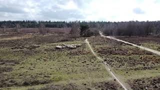 1st Drone flight DJI Mavic Mini  - Ermelo Heide - Schaapsherder in actie