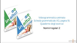 A3 Nomi irregolari 2 (Videogrammatica in alto! A1-A2)