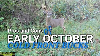 Early October Cold Front Whitetail Bucks