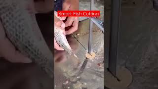 Smart Fish Cutting 🐠