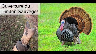 Chasse d'ouverture du dindon - Quebec Turkey Opener