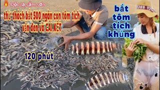 Độc lạ sầm sơn-săn bắt,sinh tồn bắt tôm tích mùa hè/du lịch sầm sơn