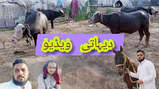 beautiful video Desi village ||volg#3||