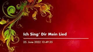 Ich Sing‘ Dir Mein Lied LYRICS (R.G.'s Cover)