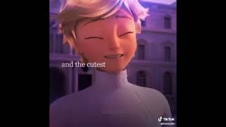 Marinette's in love