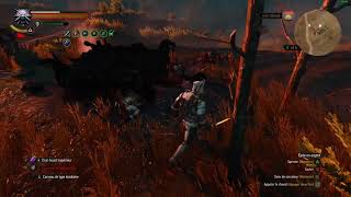 The Witcher 3 bug