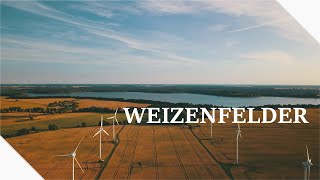 Goldbraune Weizenfelder am frühen Abend in Vorpommern ∷ Dji Mavic Pro Drohnenaufnahmen