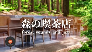 環境音+JAZZ やさしい森の喫茶店  森の中の音でリラックス  作業 / 勉強 / 休憩 / 睡眠 CAFE MUSIC - 作業用BGM🌳