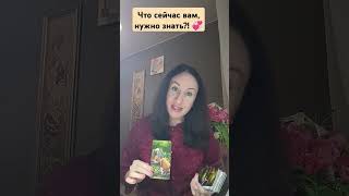 Что вам сейчас, нужно знать?! 🌹