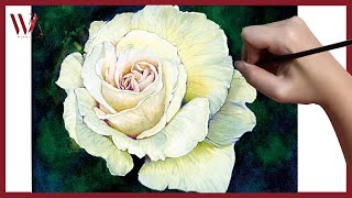 How to Paint a Rose in Watercolor- Windy Shih