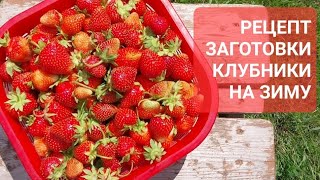 ВКУСНАЯ КЛУБНИКА НА ЗИМУ/ МОЯ НЕСКУЧНАЯ ЖИЗНЬ