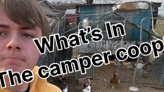 Chicken coop deep dive (part 1 The Camper Coop)