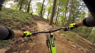 MTB-Trails in Heidelberg | Flowline der HD-Freeride | First Ride