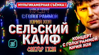 СЕЛЬСКИЙ КАИФ / МУЛЬТИКАМЕРНАЯ ВЕРСИЯ! КОНЦЕРТ С ГОЛОГРАММОЙ ЮРИЯ ХОЯ  #НАХОДУПОХОДУ