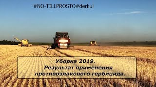 NO-TILL. Уборка 2019. Результат применения противозлакового гербицида.